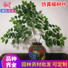 �ܘ��~�ָ��ܘ�֧�Gɫֲ���~���Ә�٘�֦��ľ�����b����͸߷���