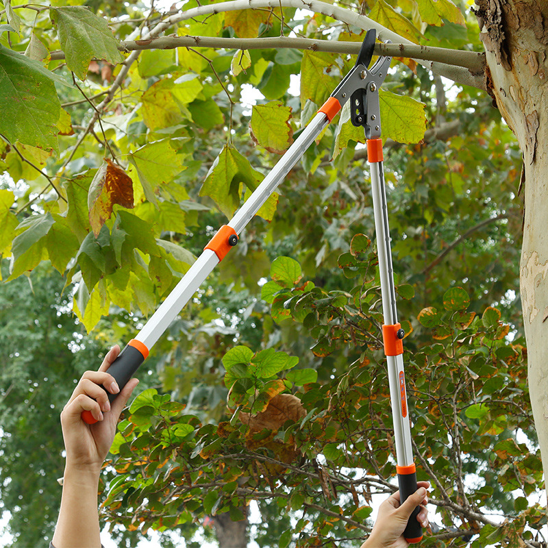 Fábrica al por mayor Fengchuan tijeras de rama gruesa tijeras fuertes tijeras de rama gruesa telescópica cuchillo tijeras de podar