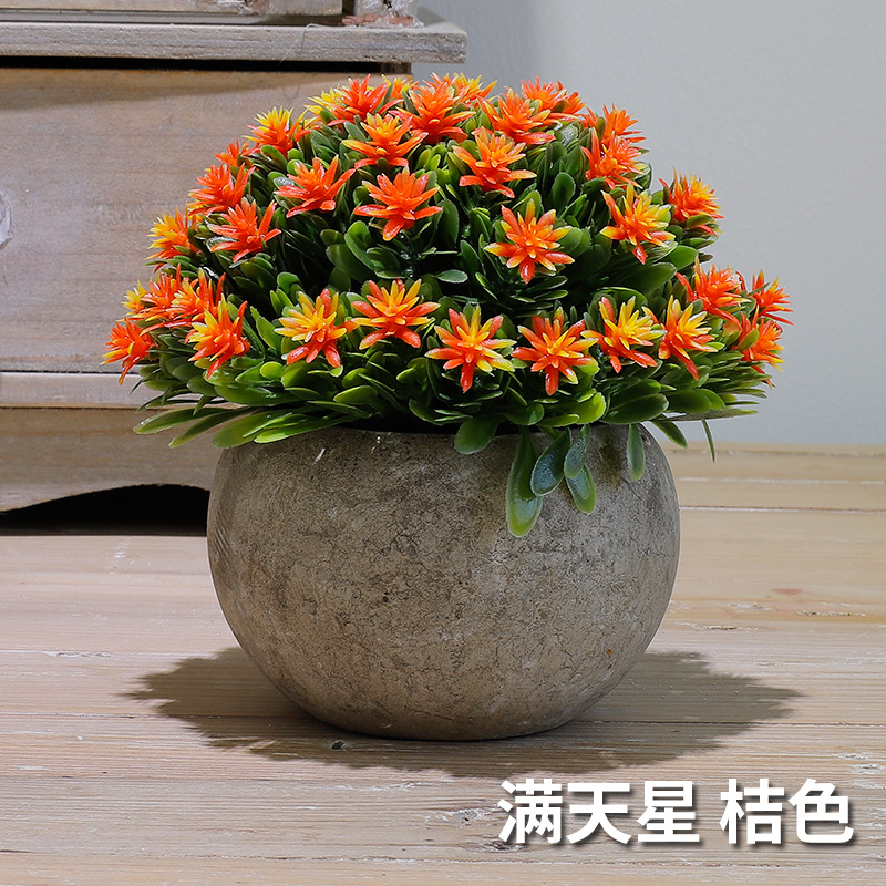 满天星（桔色）