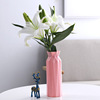 Scandinavian plastic modern decorations for living room, jewelry, wholesale