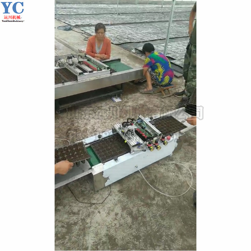 穴盘播种机 育苗穴盘精播机 全自动穴盘播籽机 药材穴盘播种机