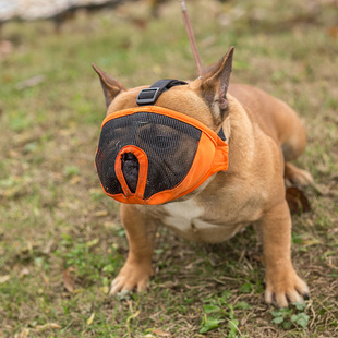 ������Ʒ���l��ţȦ���֌��������OӋ��ҧ�ͷ��Mʳ͸�����m�W��