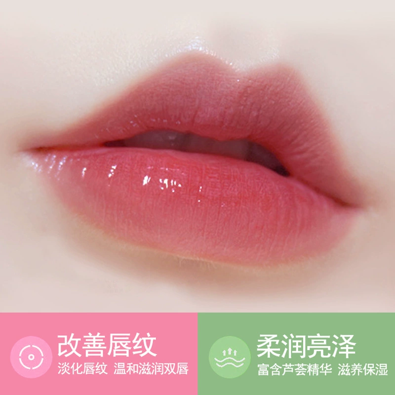Aloe vera gel, moisturizing lipstick, (Cross-border trading), intense hydration