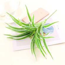 �Gֲ�������ֲ����~�~�Ӽٱڒ��b��҃ȱ������������ϼٲݵ��m