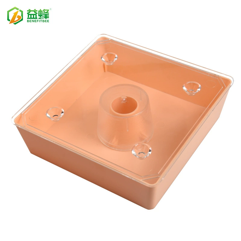 Трансграничный взрыв Amazon Новый Европейский квадратный кормушка Кормушка для ульев Кормушка для пчеловодства Инструмент для пчеловодства