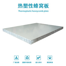 广州同力厂家批发超轻绿色塑料蜂窝网 pp塑料蜂窝复合板厂家直供
