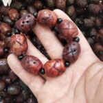 玉器岫玉隔珠手链古玉手链老玉手串仿古玉手链佛珠手串圆珠手链文