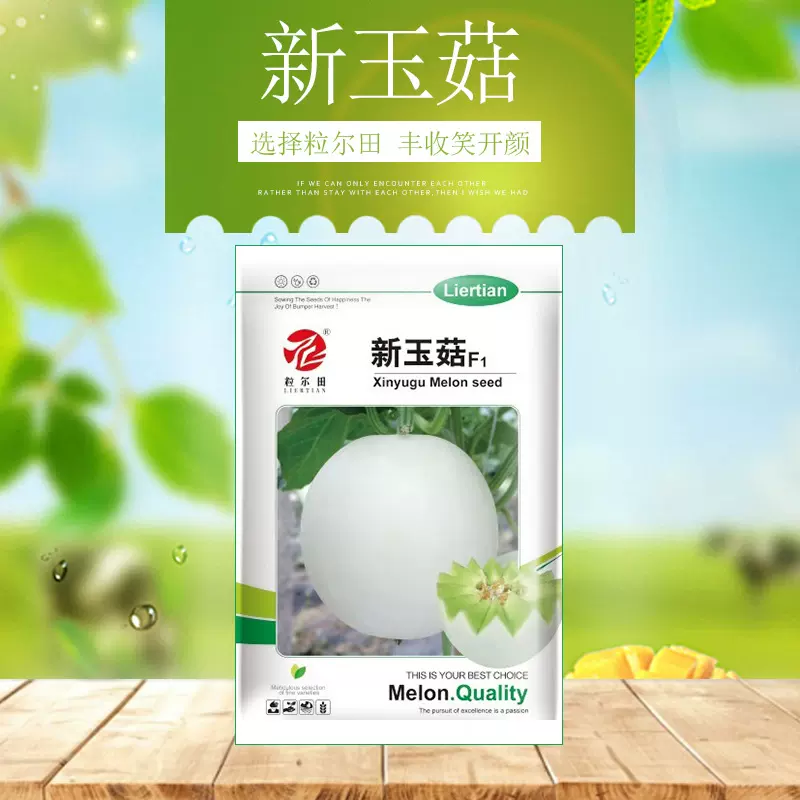 新玉菇甜瓜种子 玉菇蜜瓜种籽厚皮甜瓜 香甜哈密瓜香瓜种子