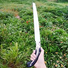 ٹ֦ @ʡ ֦350ְձSK4ľ