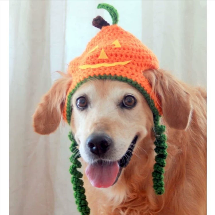 Хэллоуин домашнее животное одеваются шляпа с головой тыквы золотистый ретривер большая собака COS шляпа для вечеринок святые Забавный артефакт