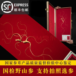 �˅��Y�Ї��z����Ұɽ�������L��ɽ���˅����z����ɽ���Y��