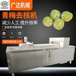 广达青梅去核机自动化不锈钢304梅干去核切半机余甘子切半机