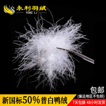 �S��ֱ�N�V�z����50�հ����q��q������������ﾫƷ50�����q