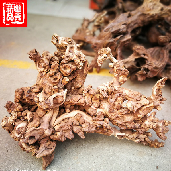 Coral aquarium decor