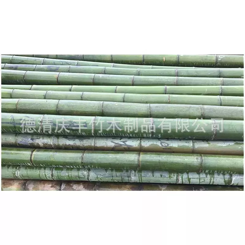 Производители источника оптом бамбука в течение более пяти лет