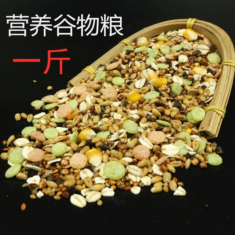 Массовое зерно хомяка зерно морепродукты фруктовое зерно Белка Зерно самоподобранное зерно еда для птиц голубь еда основные продукты питания оптом