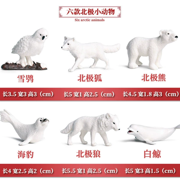 6 mini small Arctic 6 models