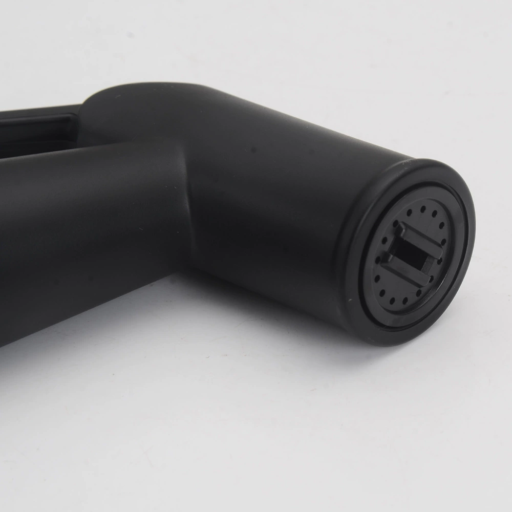Accessories, black bidet, toilet, set