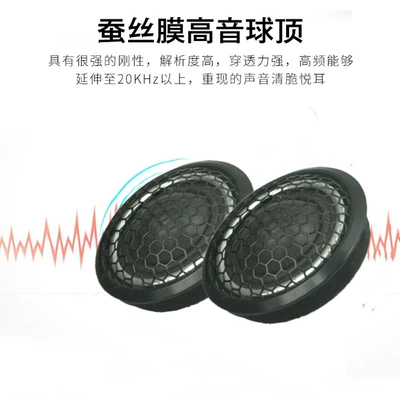 Car horn/tweeter 28 Rui car treble