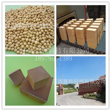 ���T܇�g�U��̎��&mdash;�K�Z�F���ٴ߻��� ���a�S�� �������z�y