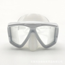 雾潜水镜可配游泳M1539吸管潜近视浮装备水镜潜水装置泳装防干式