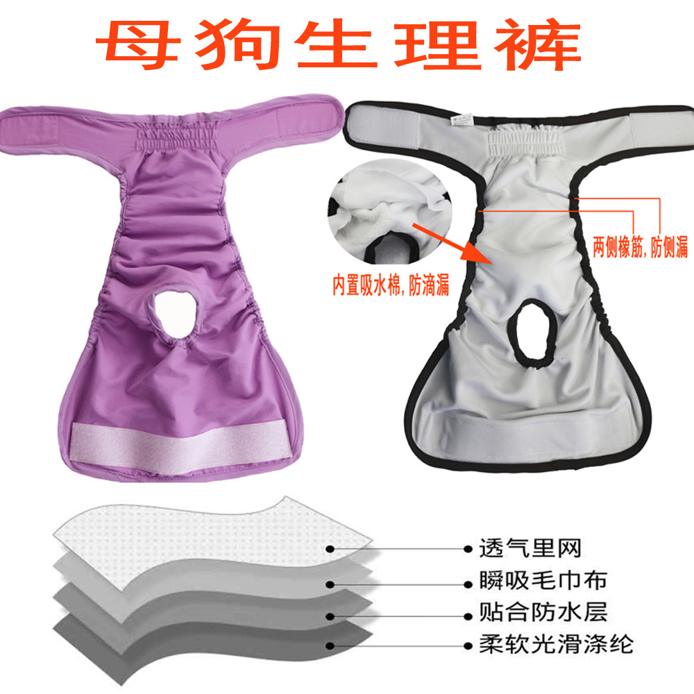Pantalones fisiológicos para mascotas, pañales para perros, pantalones menstruales antiharasgo para perras, pañales para perros grandes image 4