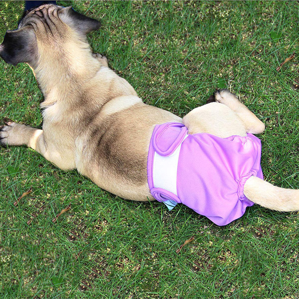 Pantalones fisiológicos para mascotas, pañales para perros, pantalones menstruales antiharasgo para perras, pañales para perros grandes image 5