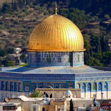 �����Ї��ŵ佨�B�A� ������ ������� ���P���