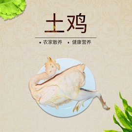 鸡蛋;蜂蜜;鸡肉类