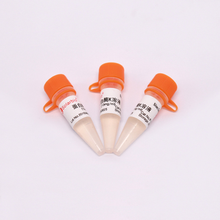 P1120 蛋白酶K溶液 10mg/ml ProteinaseK Solution10mg/ml科研用