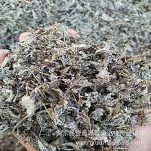 湖南产地直供批发莓茶手工炒制霉茶花草茶夏季成叶藤茶