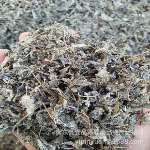 ���Ϯa��ֱ�����lݮ���ֹ�����ù�軨�ݲ��ļ����~�ٲ�