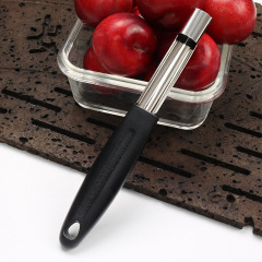 Direct Manufacturer Sales Stainless Steel Core Remover Apple Core Extractor Seedless Core Extractor Multifunctional Fruit Core Removal Tool