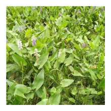 ��ľ���̾G���@�����l�������~�ݿ�ˮ�w�����m��춃���ˮ�|