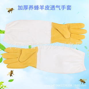 �羳���l�L���B����U��ƤƯ�ײ����� ���ׄڱ�������ĥ����