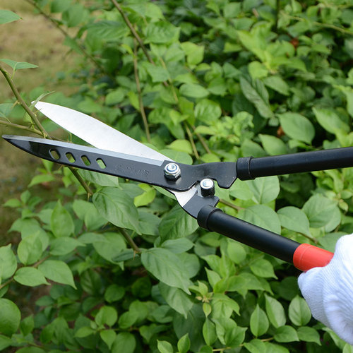 Gardening pruning tools, large flower scissors, flower shears, greening and shaping, Dezhisuke garden pruning shears, lawn pruners
