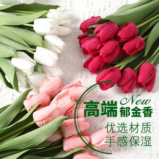兰桂坊 Высокоэтапные симуляции цветок чувствуют увлажнение