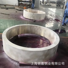 �N���T��GZ-CuAl9Ni�X���~�� �~�� CB333G�X���~�� �~�� �~��