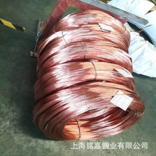 �N�ۃ��|늽��~ CATH(1�����~�� CATH(2�����~�� �~�� �~��