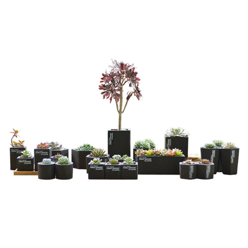 Creative succulent flower pots black spots breathable cement flower pots foam packaging simple desktop potted plants wholesale