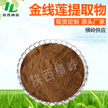 金线莲提取物 30:1金线兰粉 金线草/金草提取物 1KG起订 量大优惠