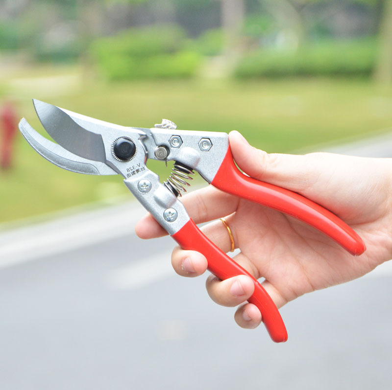岡弘修剪树枝剪园林果枝剪刀花剪园艺粗枝剪果树植物修枝农用工具