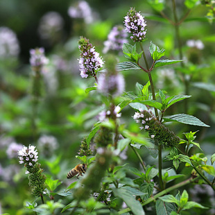 �½�����a�ر��Ɇη�����ș�ݛ���W���ɾ��͆η����ӱ��ɾ���