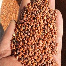 �}����  ���}����    �R����