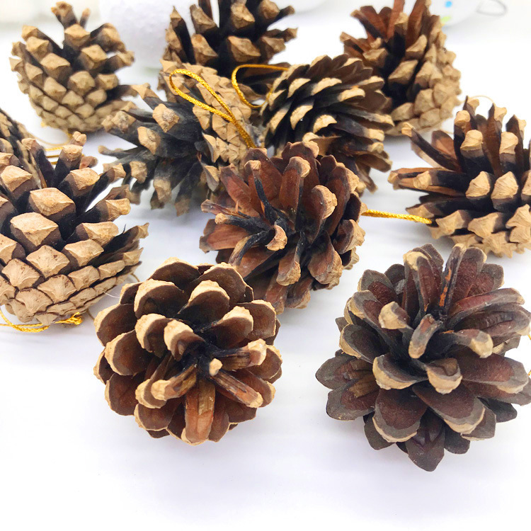 原色松果6pcsクリスマス装飾品ペンダント花輪クリスマスツリーアクセサリーdiy撮影道具4-5cm松果|undefined