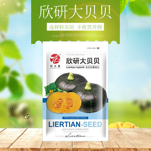 ���д�ؐؐ�ϹϷN���ϹϷN�� �����ϹϷN��ζ������ �G�߲˷N��