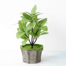 现货厂家直销仿真绿植11目满堂红叶橱窗布置造景仿真植物