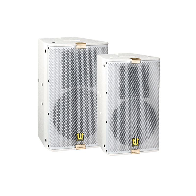 深圳12寸娱乐音响 卡拉OK KTV包房 多功能会议厅投影音响系统