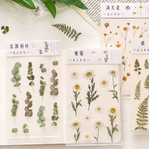 Mr. Paper PET Flat Sticker Flower Series Small Fresh Handbook Decoration Ink Word Plant Material DIY Sticker