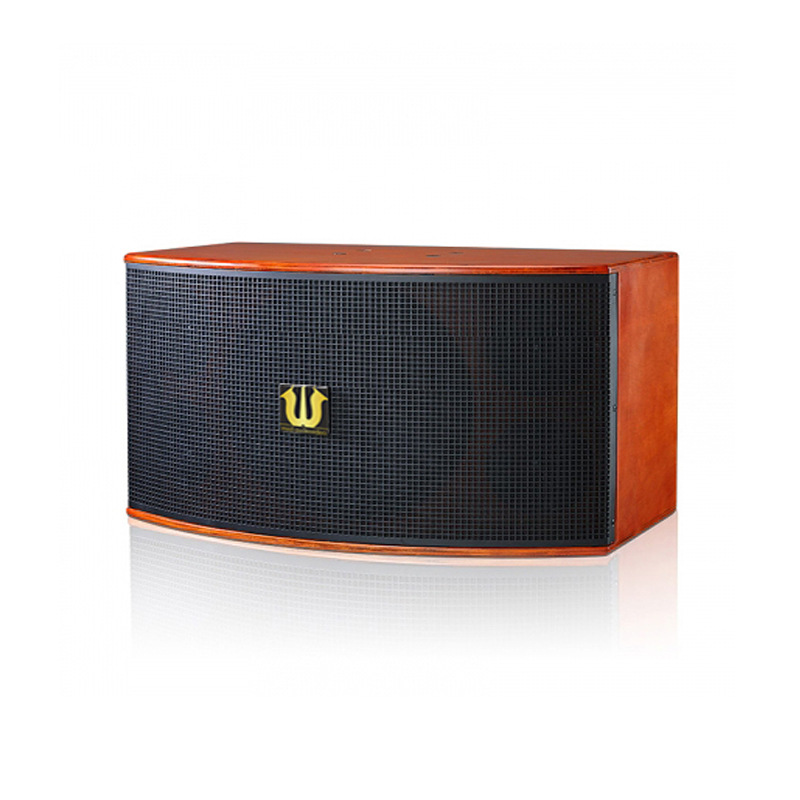 卡包音箱家庭ktv音响卡拉OK会议音响 会议室舞台 专业音响